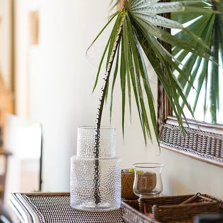 Costalita アパート エステポナ