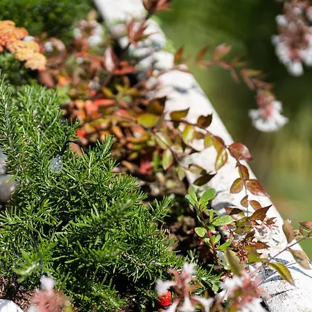 Apartman Costalita Estepona