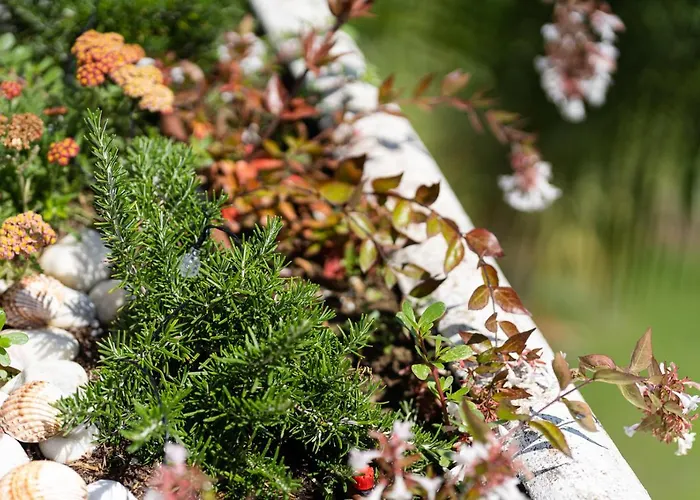 아파트 Costalita 에스테포나